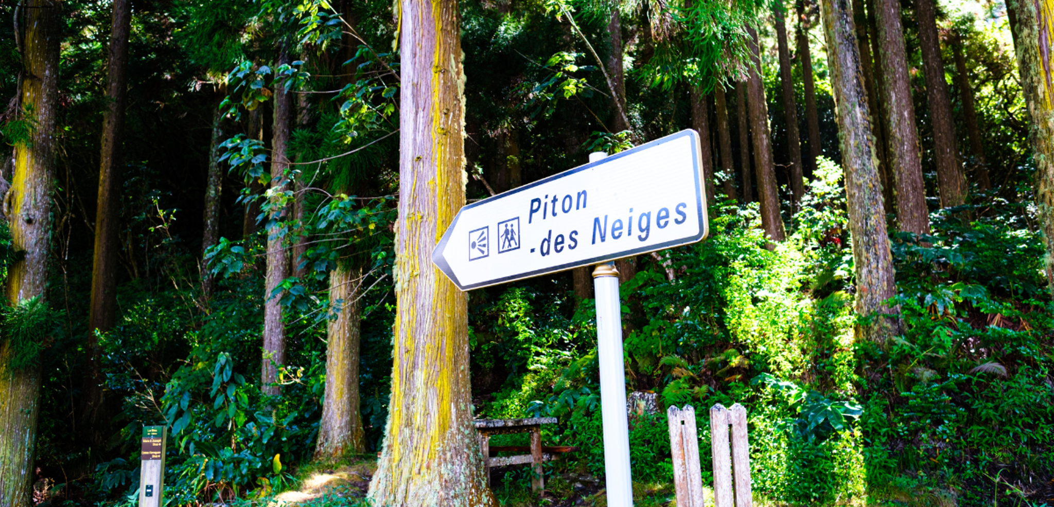 Point de départ de votre randonnée sur le toit de l'île !