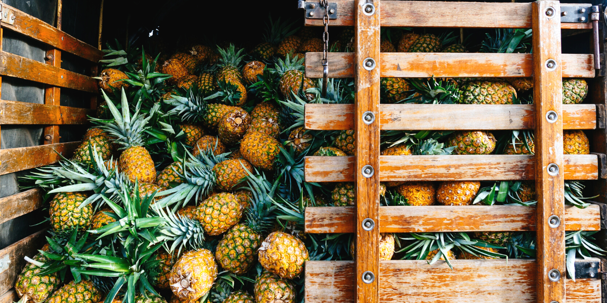 Ne manque pas de faire le plein de fruits tropicaux ! 