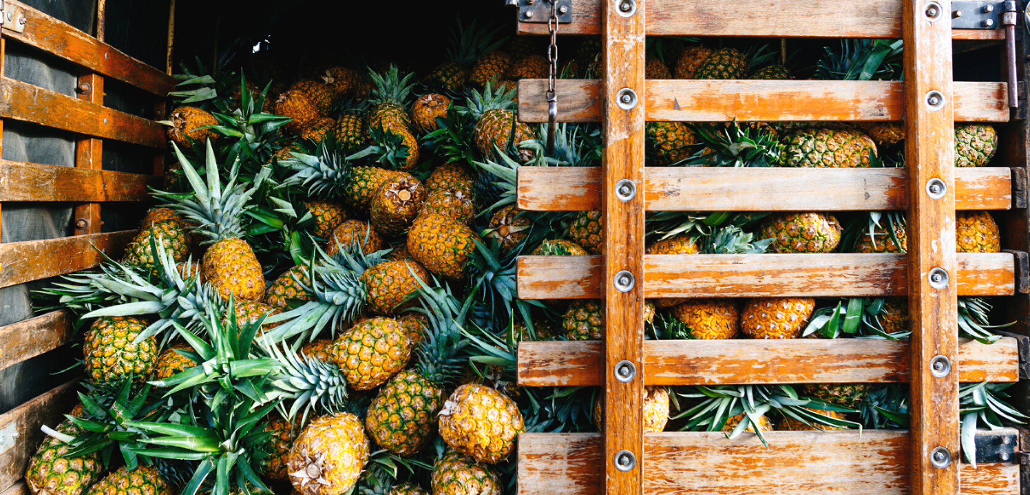 Et ne manquez pas de faire le plein de fruits tropicaux !