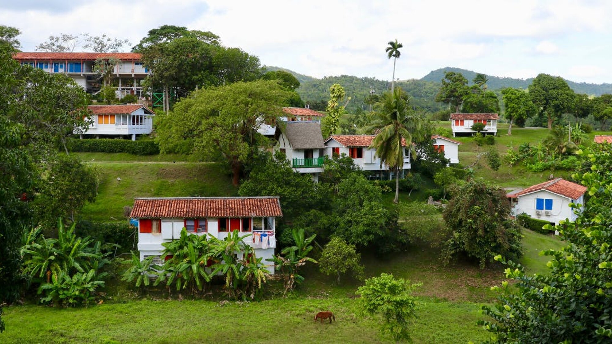 Las Terrazas, jour 8