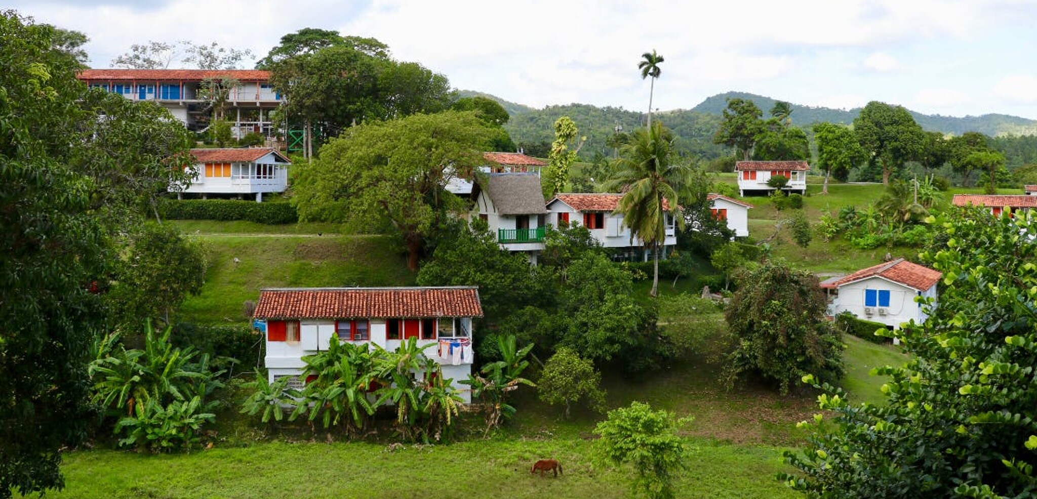 Las Terrazas, jour 8