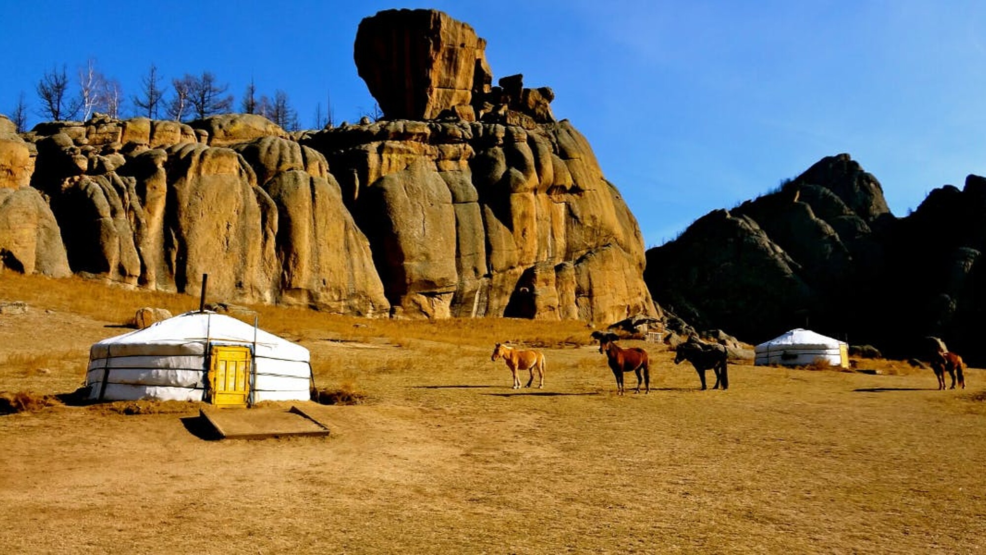 La Réserve naturelle Ikh Nart