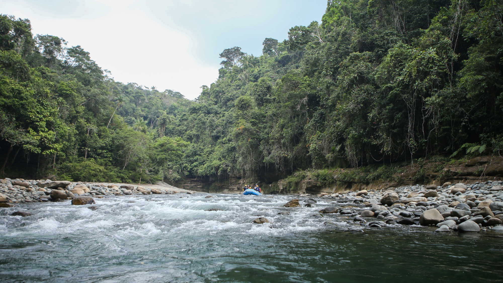 Rafting, Canyon De Güejar, Colombie