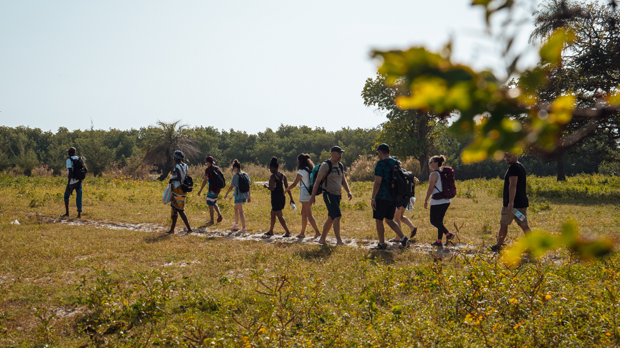 Promenez-vous dans les terres