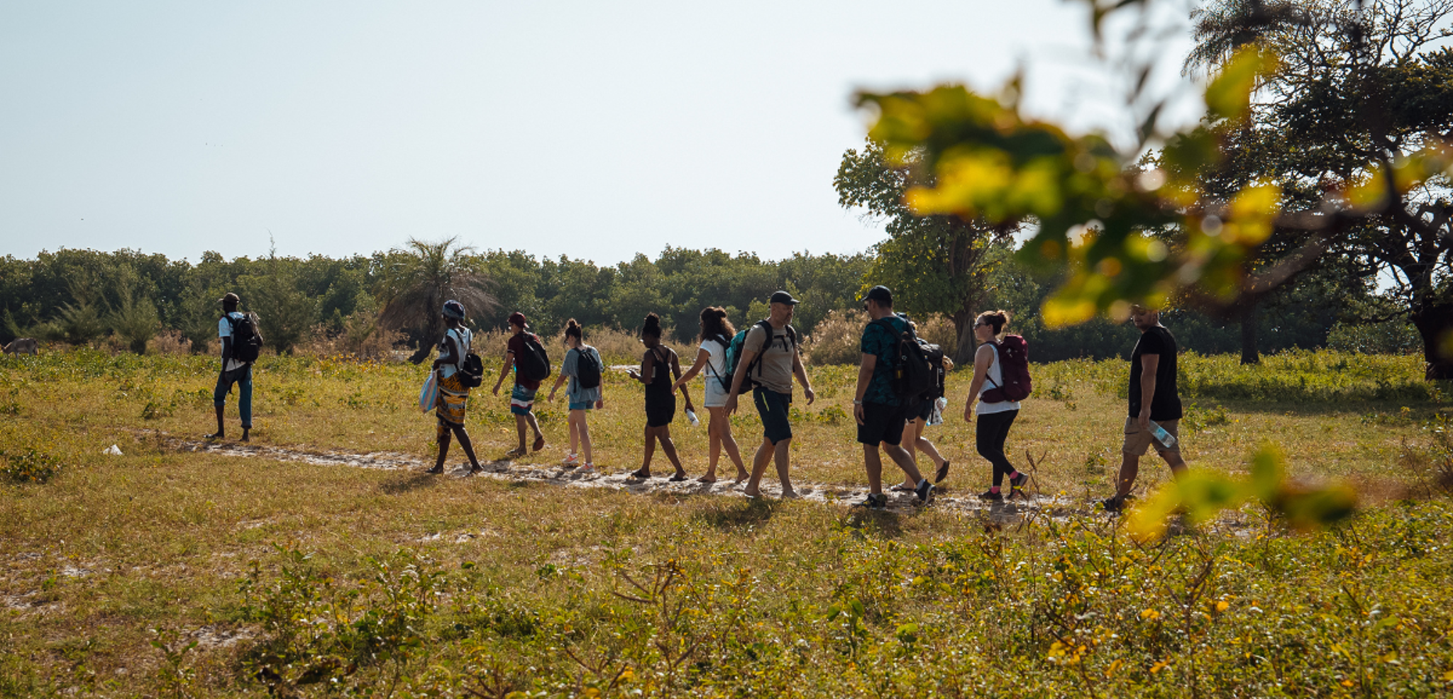 Promenez-vous dans les terres