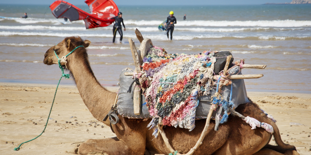 Mélange des cultures !