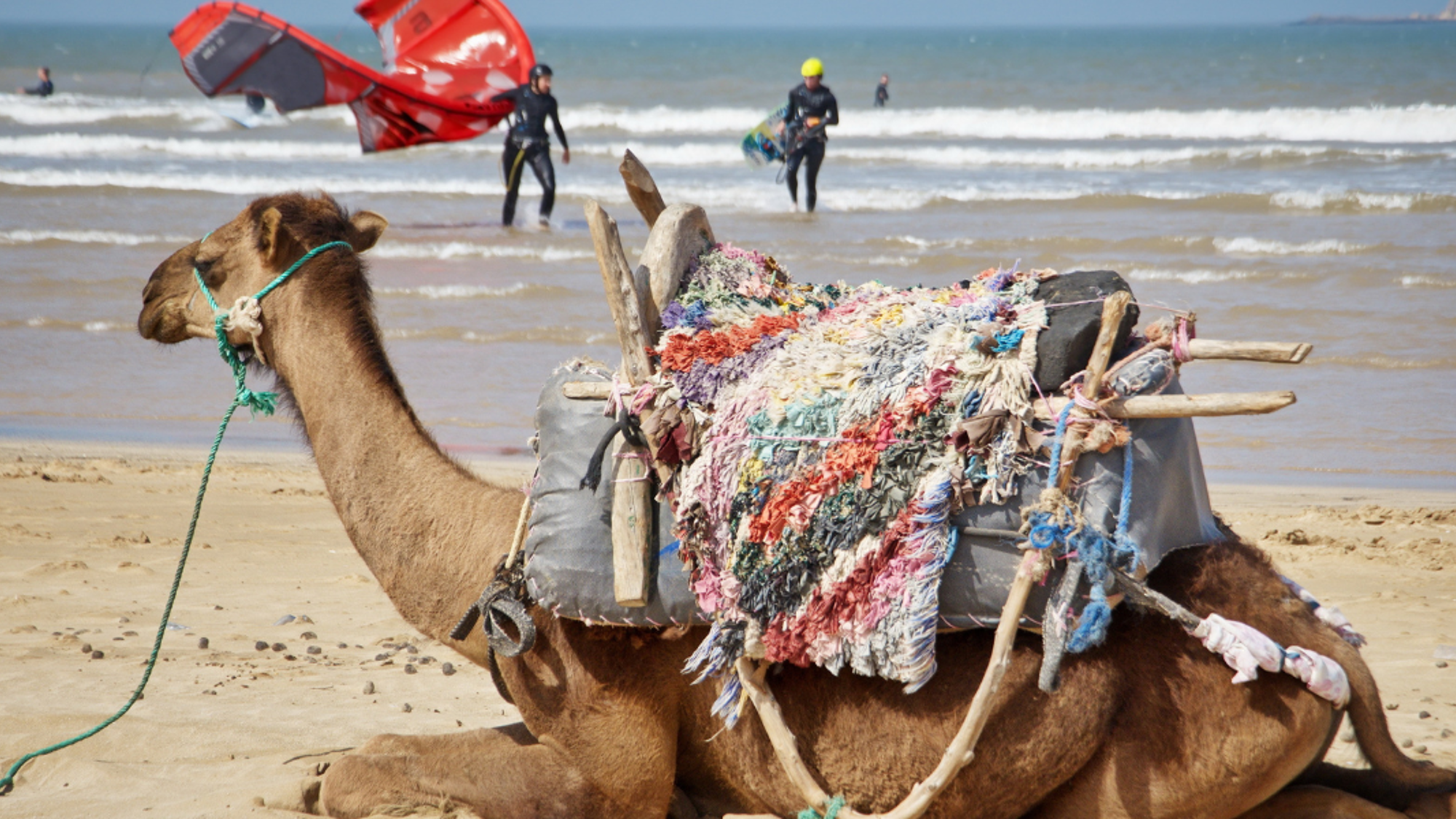 Mélange des cultures !