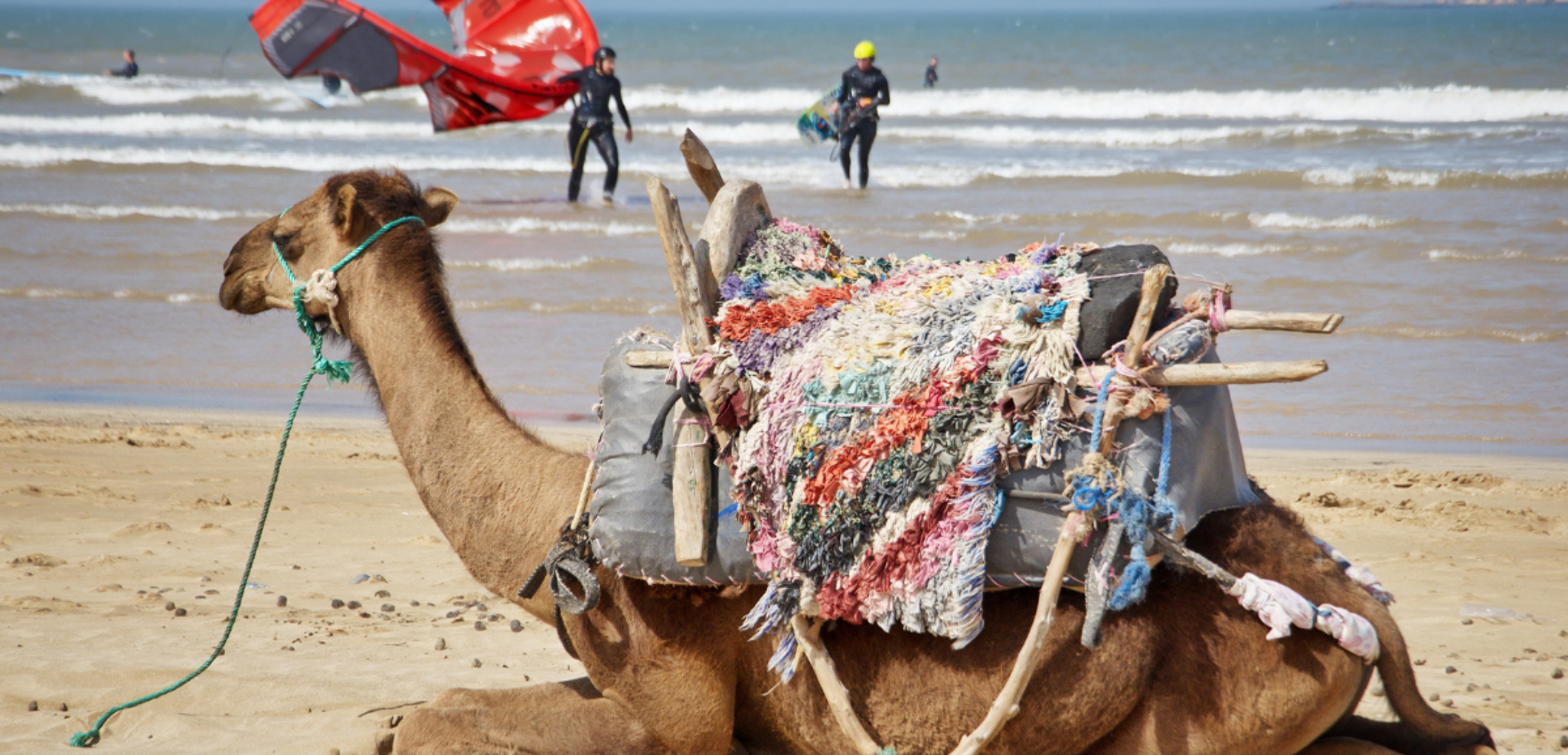 Mélange des cultures !
