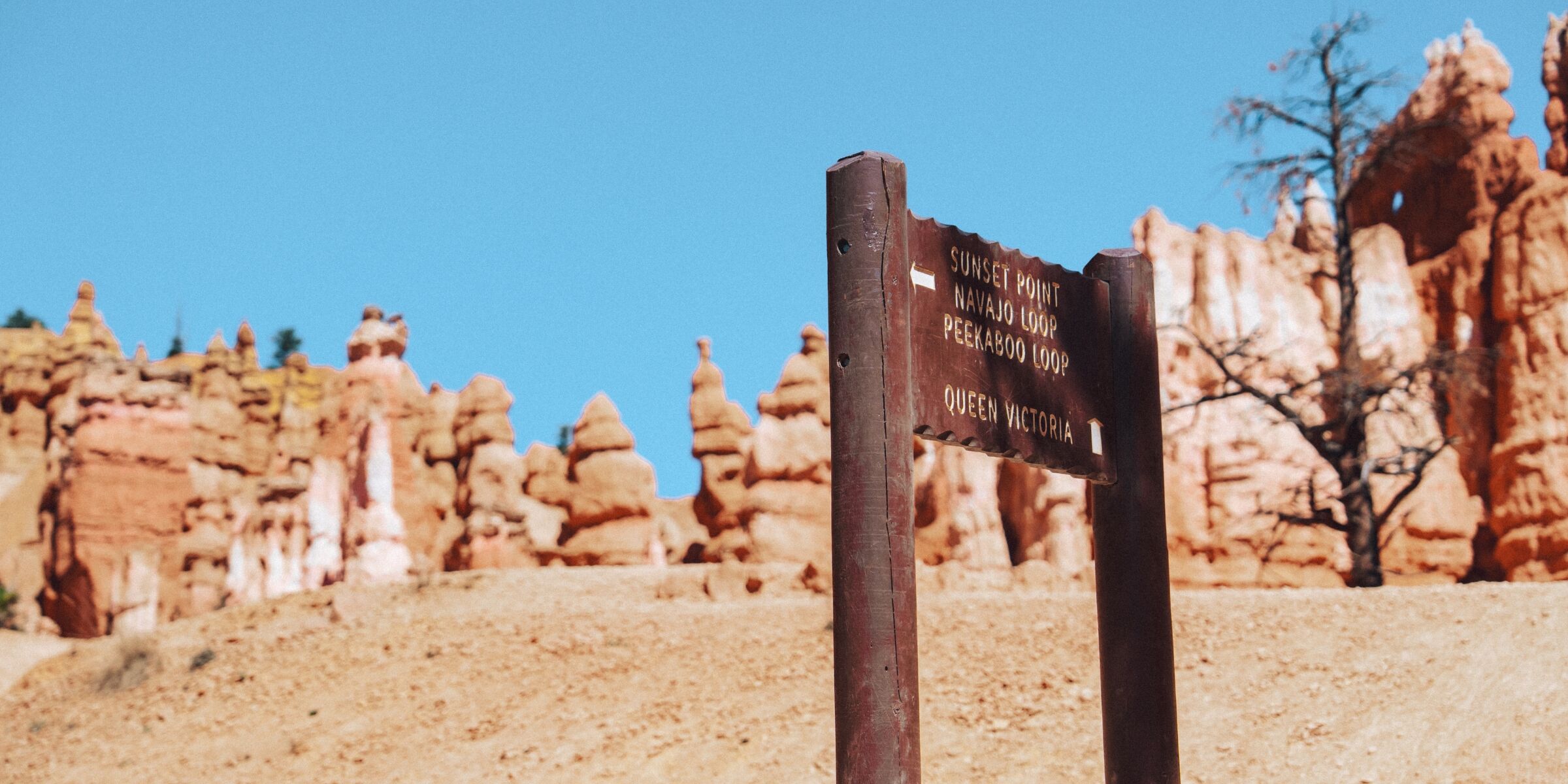 Bryce Canyon, Utah, USA