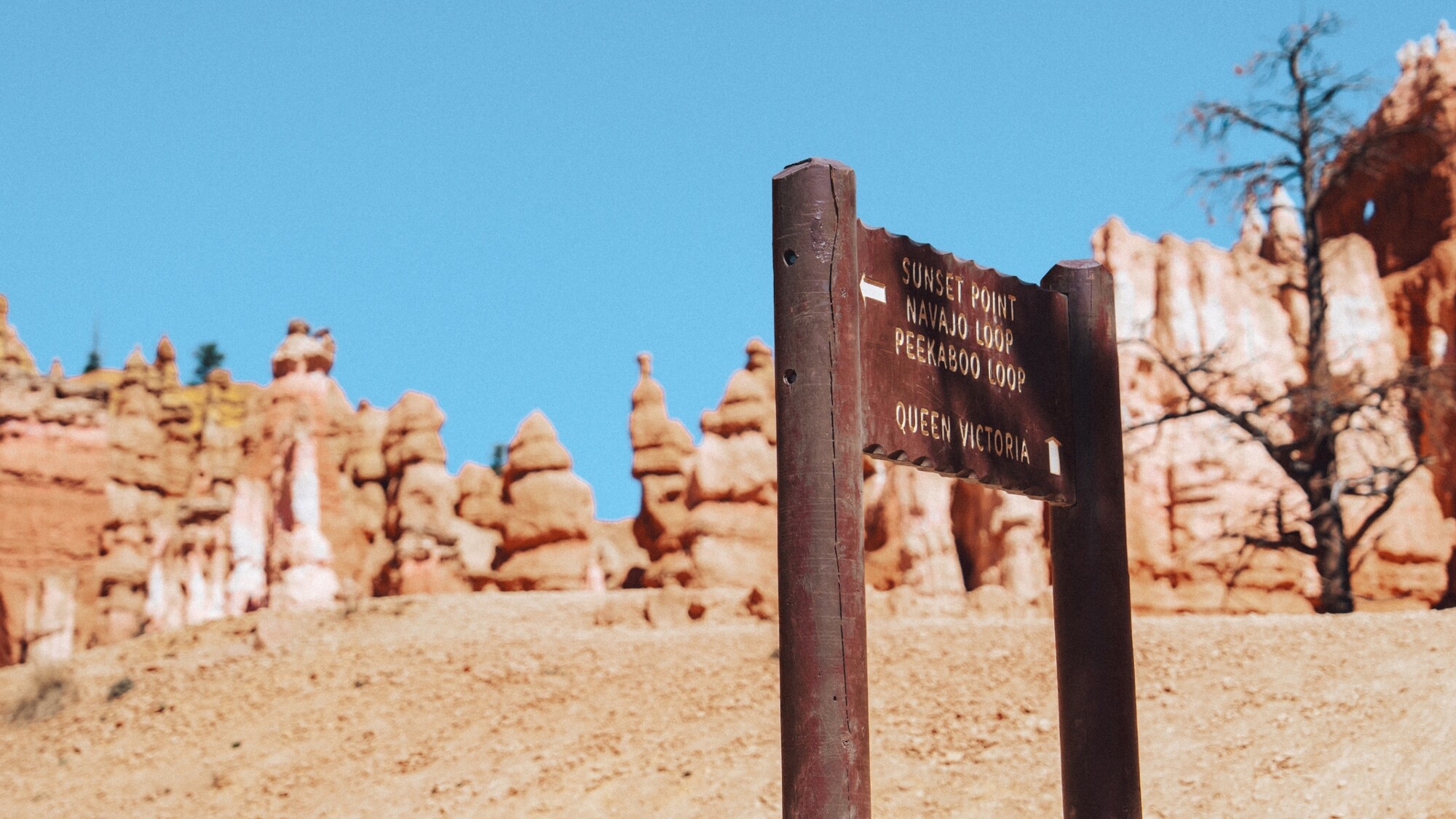 Bryce Canyon, Utah, USA