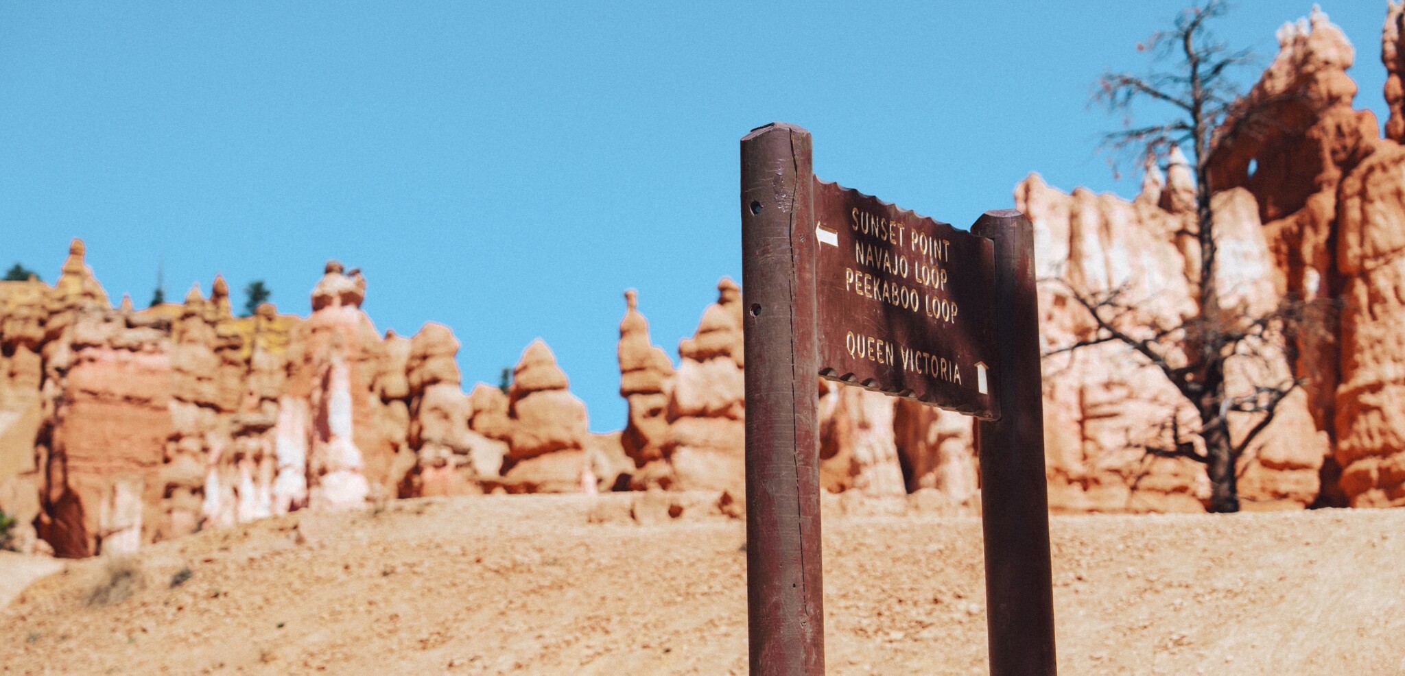 Bryce Canyon, Utah, USA