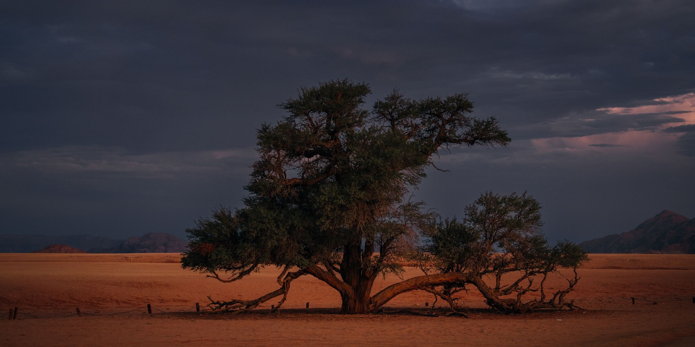 Sur la route, Namibie ©Julien Fabro