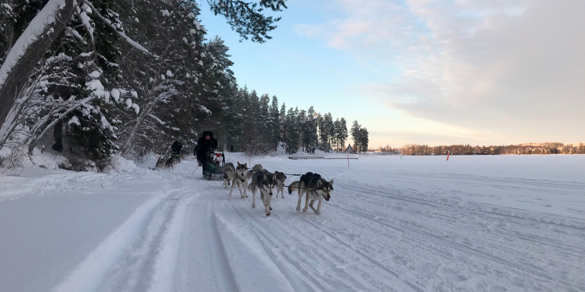 Sur les rives du lac