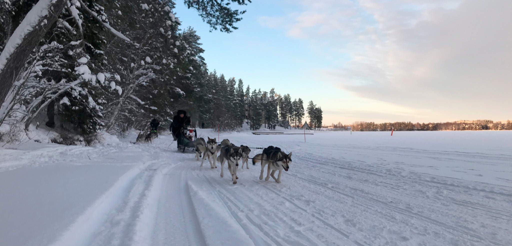 Sur les rives du lac