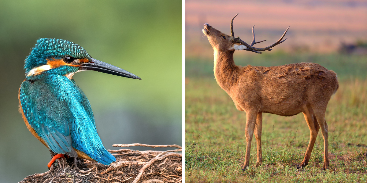 Ouvrez grands les yeux ! 