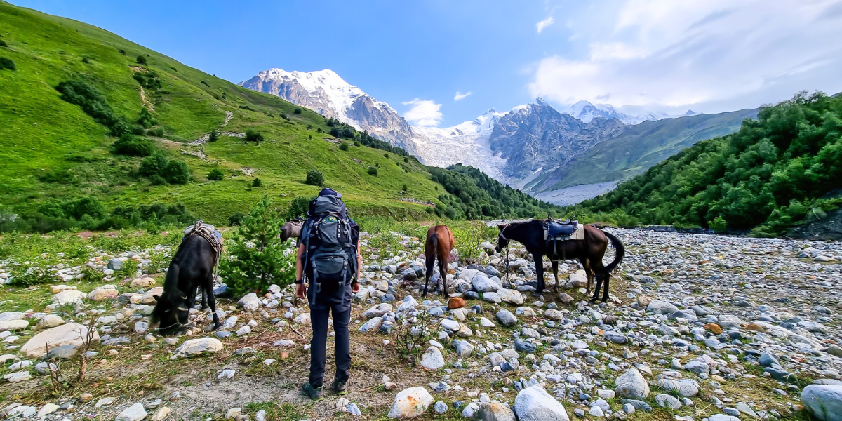 Traversez les cours d'eau avec vos fidèles compagnons 