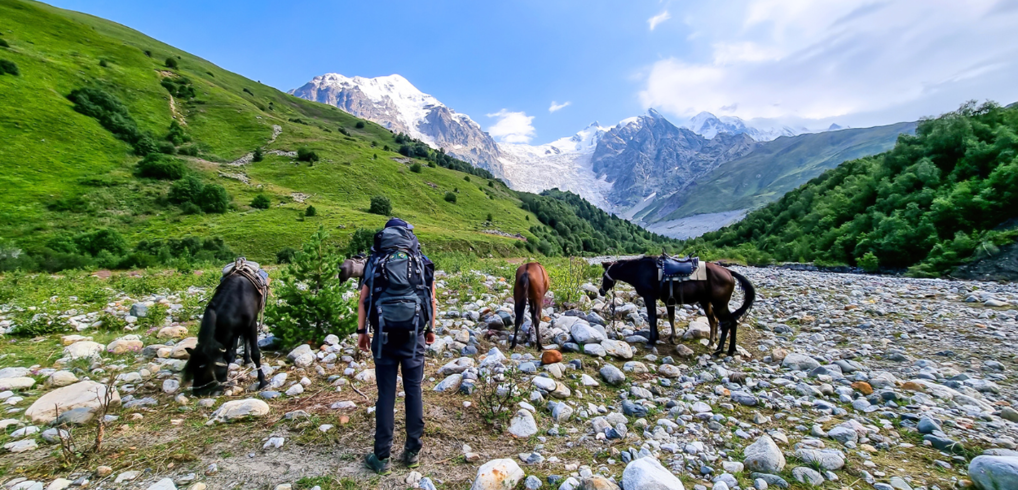 Traversez les cours d'eau avec vos fidèles compagnons