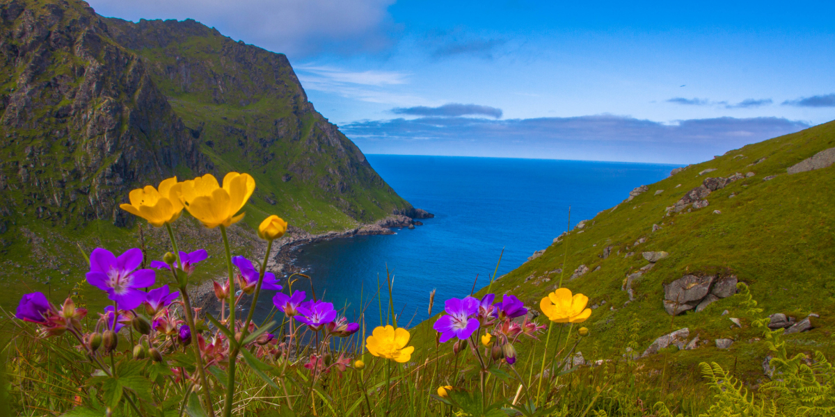 ...vous poursuivez votre périple dans les archipels ! 