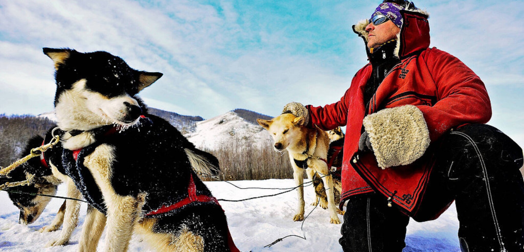 Joël, votre musher professionnel