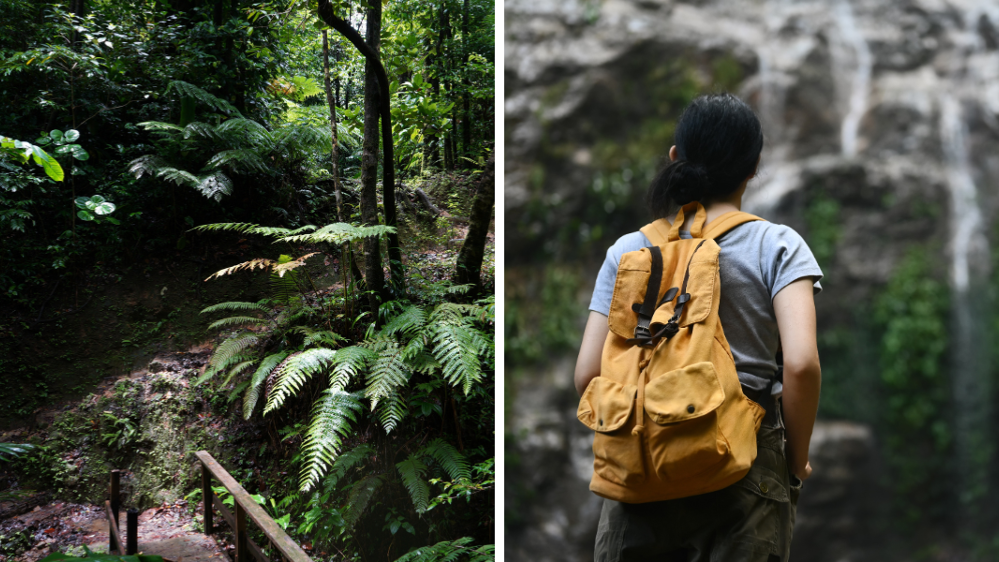 Une aventure 100% nature