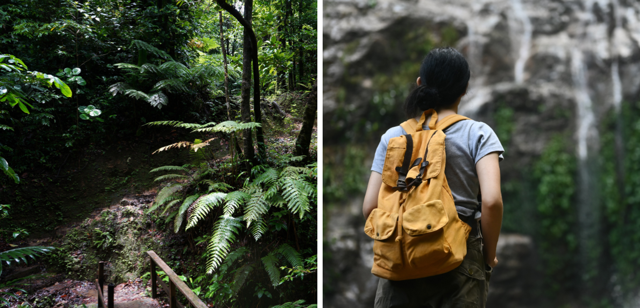 Une aventure 100% nature