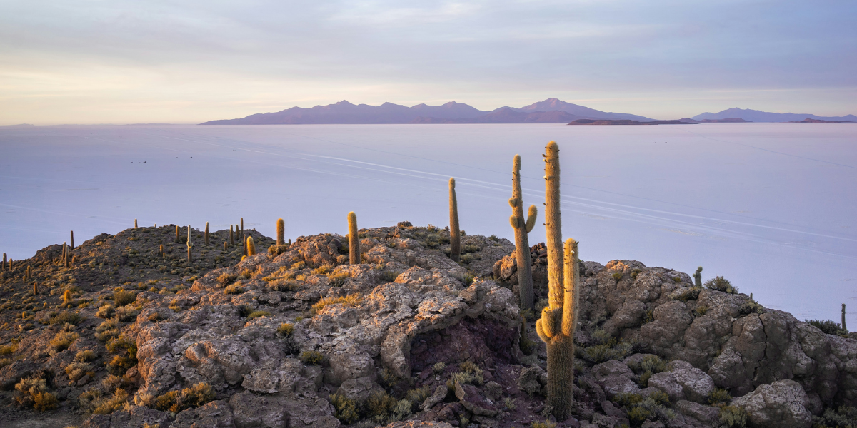 Une balade sur l’Isla del Pescado, une île perdue au milieu du désert - jour 9 (Bolivie) 