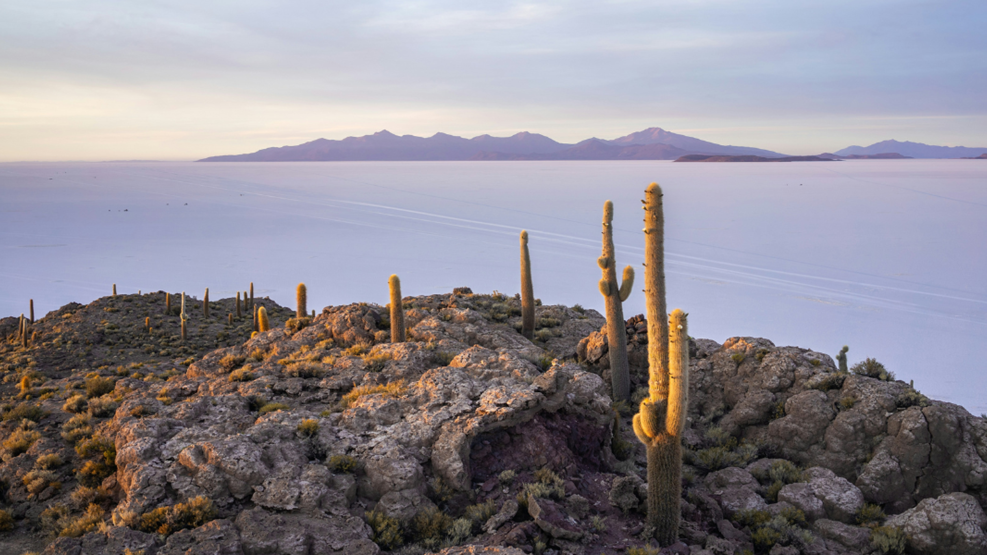 Une balade sur l’Isla del Pescado, une île perdue au milieu du désert - jour 9 (Bolivie)