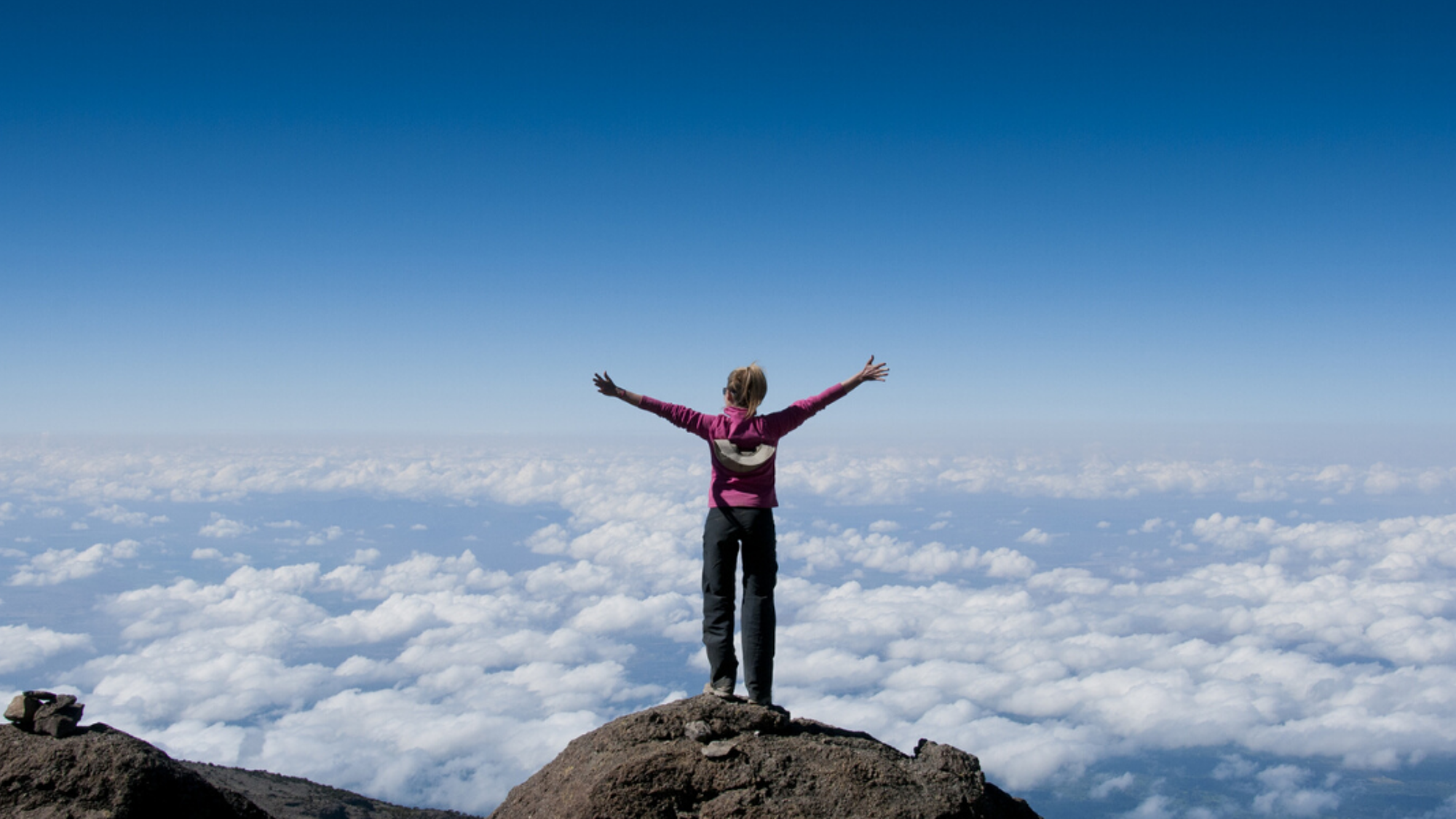 "I'm the king/queen of the wooorld" !!!