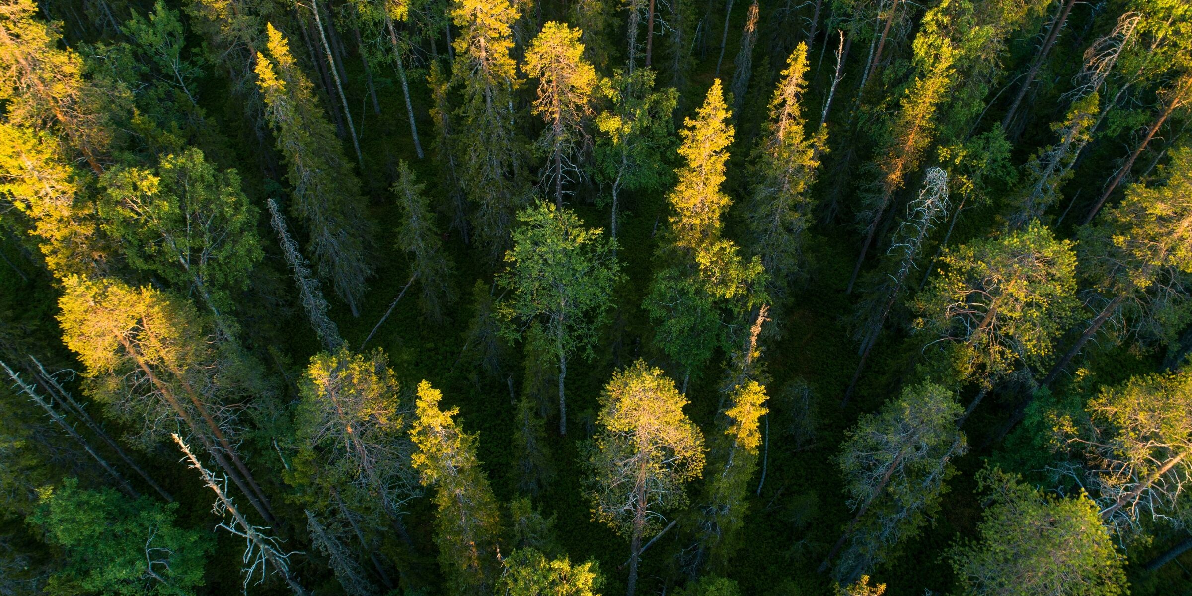 Parc national de Hossa, Finlande ©Shutterstock.com