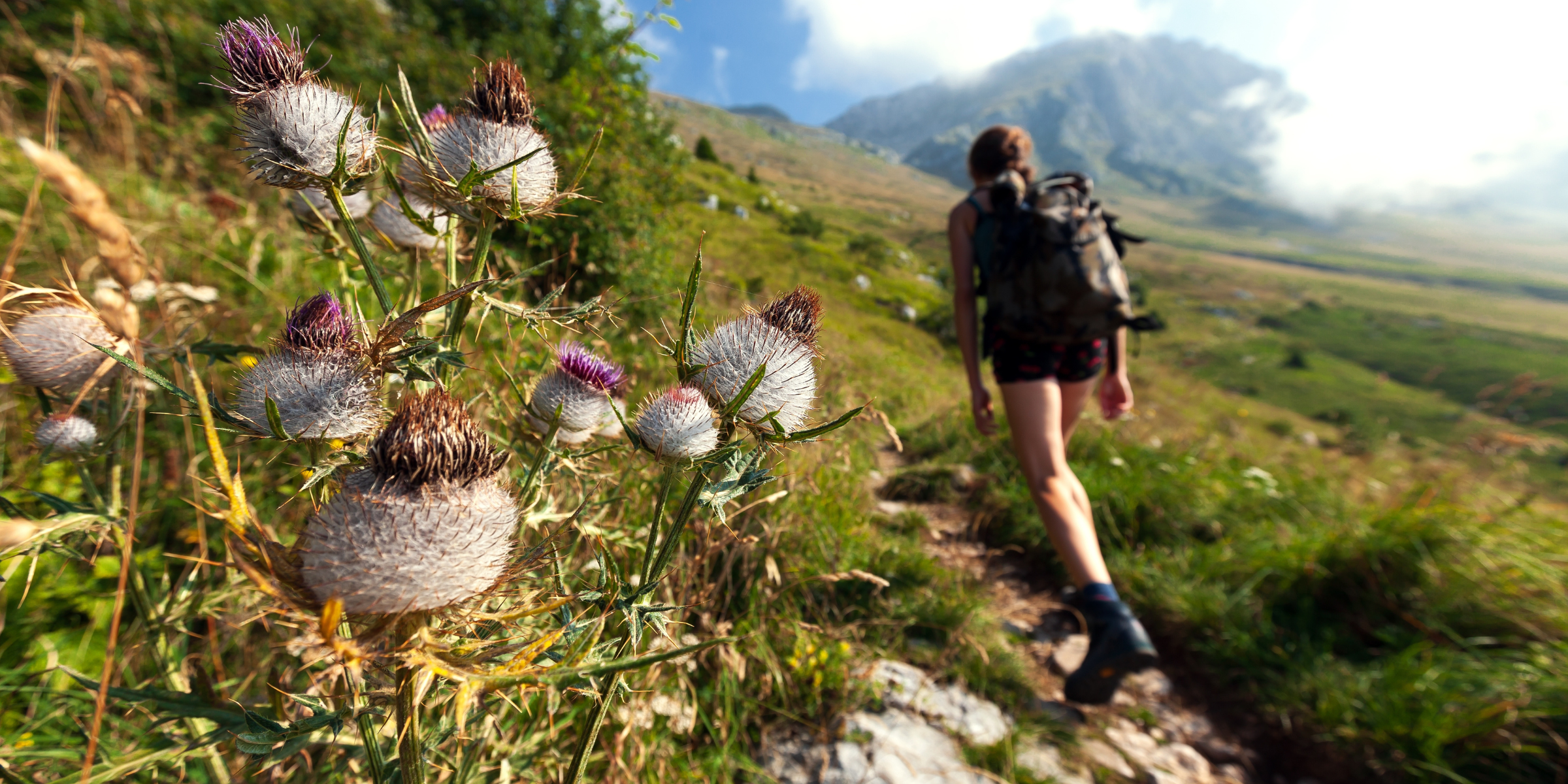 Trek, Alpes Juliennes 