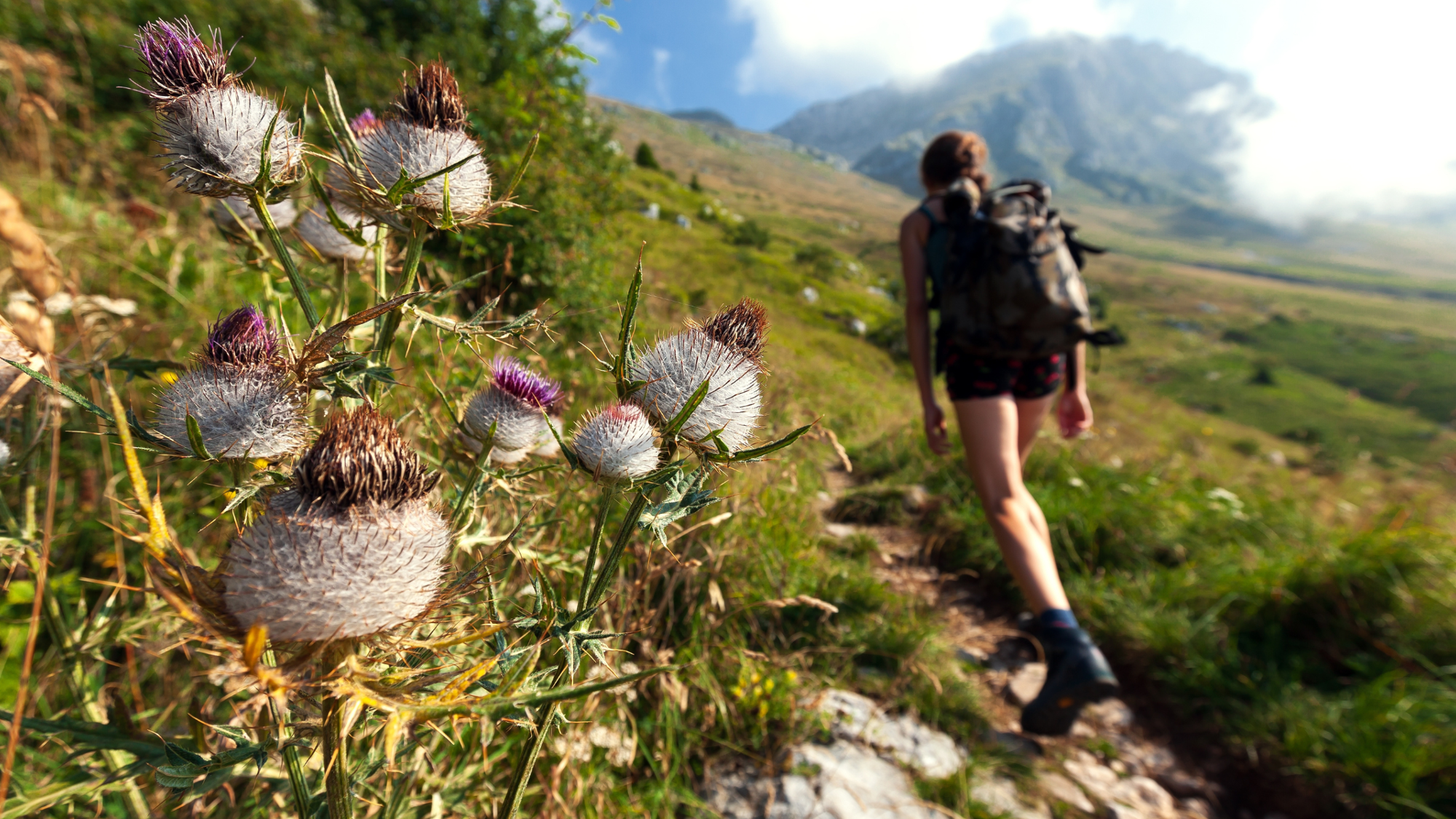 Trek, Alpes Juliennes