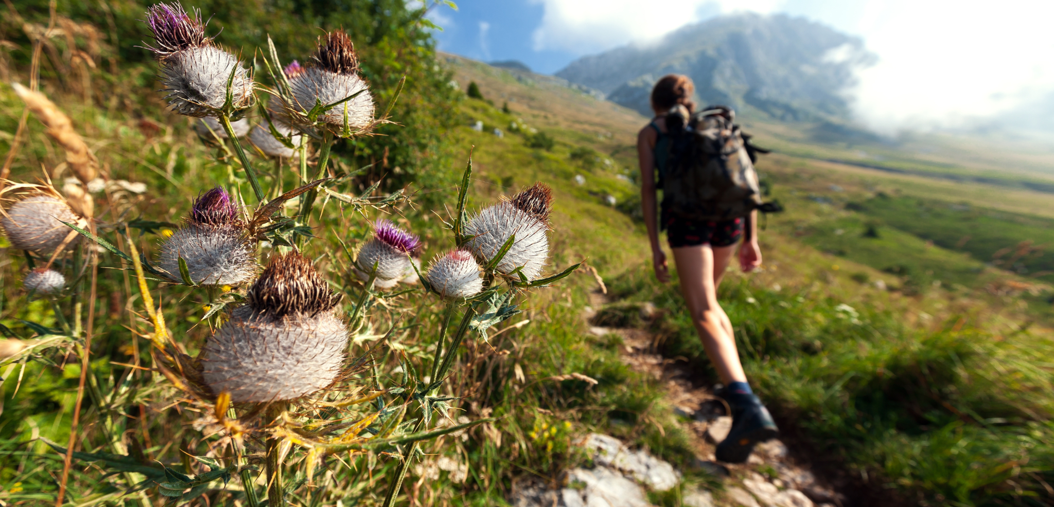 Trek, Alpes Juliennes