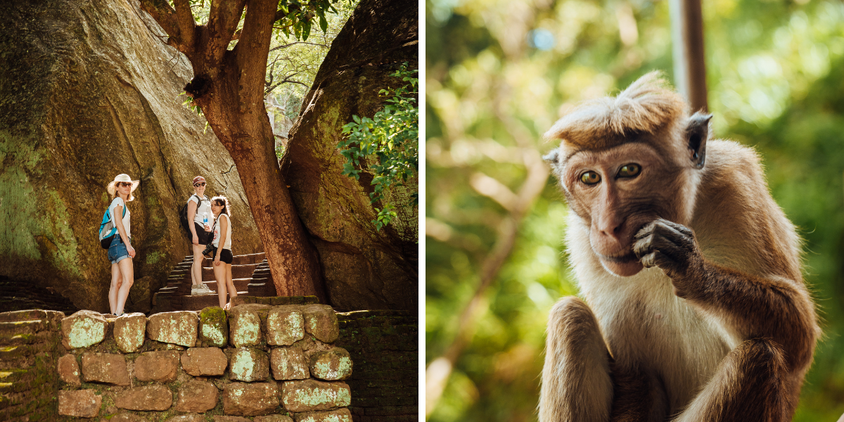 A l'assaut du Lion's Rock