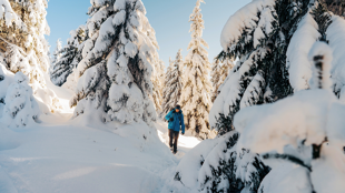 Raquettes, Canada ©Shutterstock.com