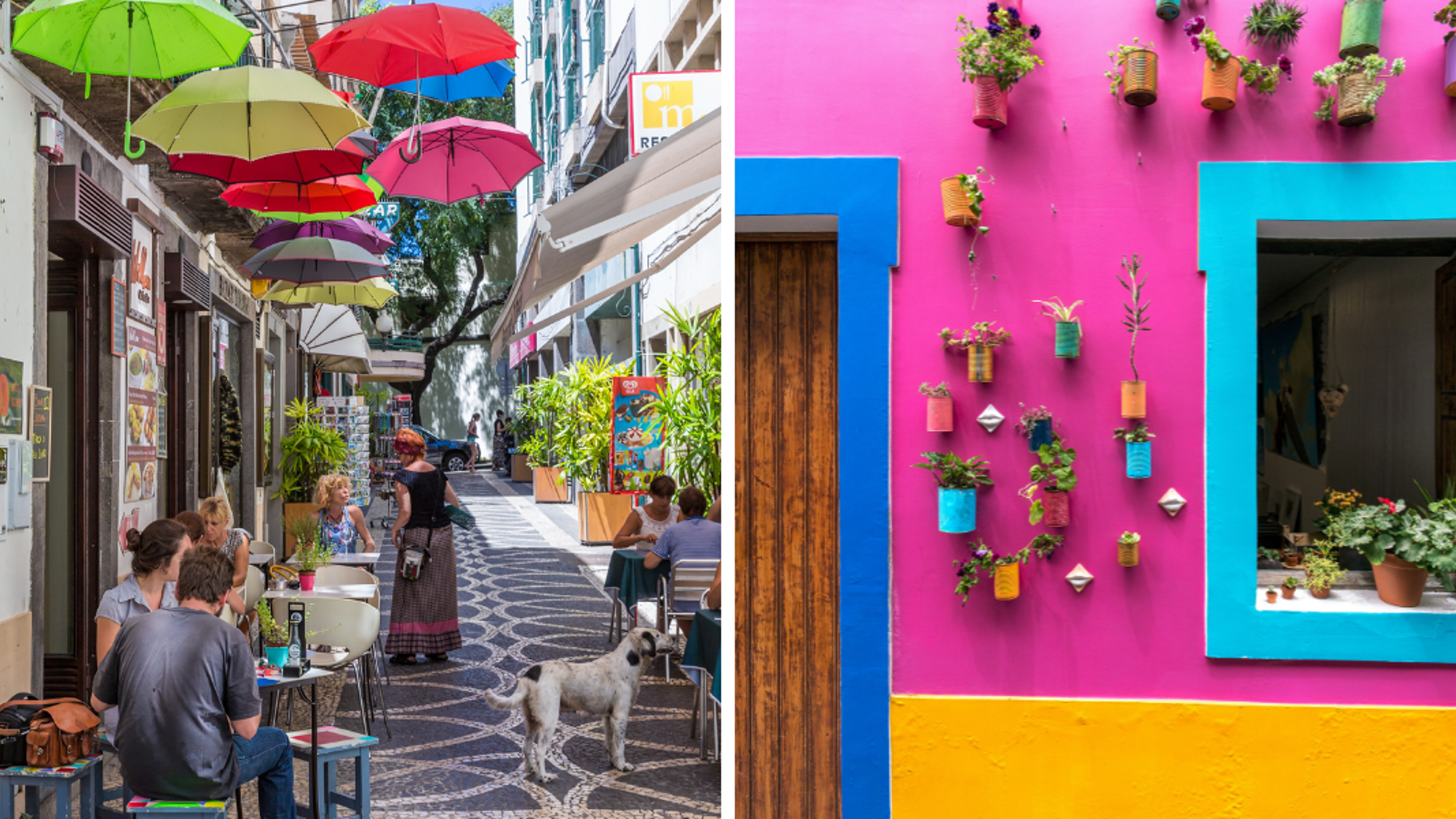 Dans les ruelles de Funchal