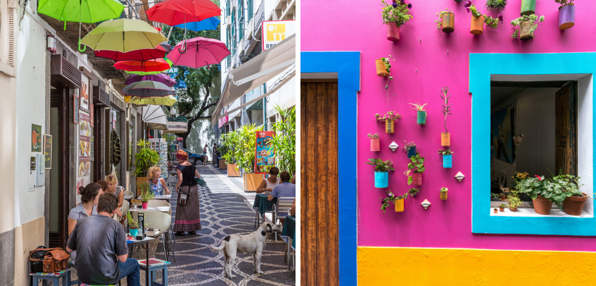 Dans les ruelles de Funchal