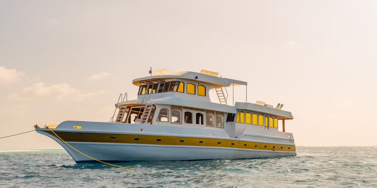 Bateau Blue Shark I (ou similaire, selon date de départ) 