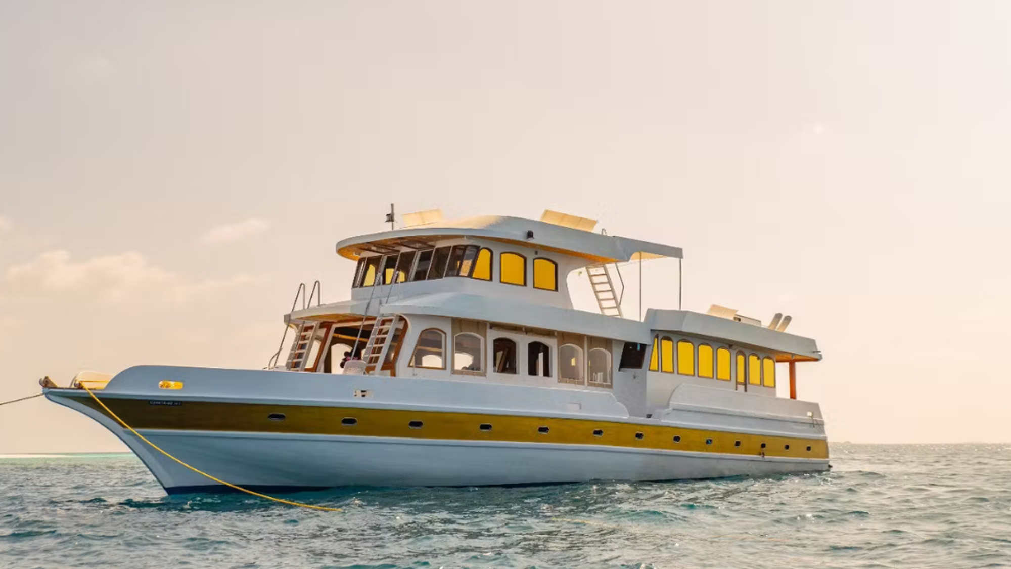 Bateau Blue Shark I (ou similaire, selon date de départ)