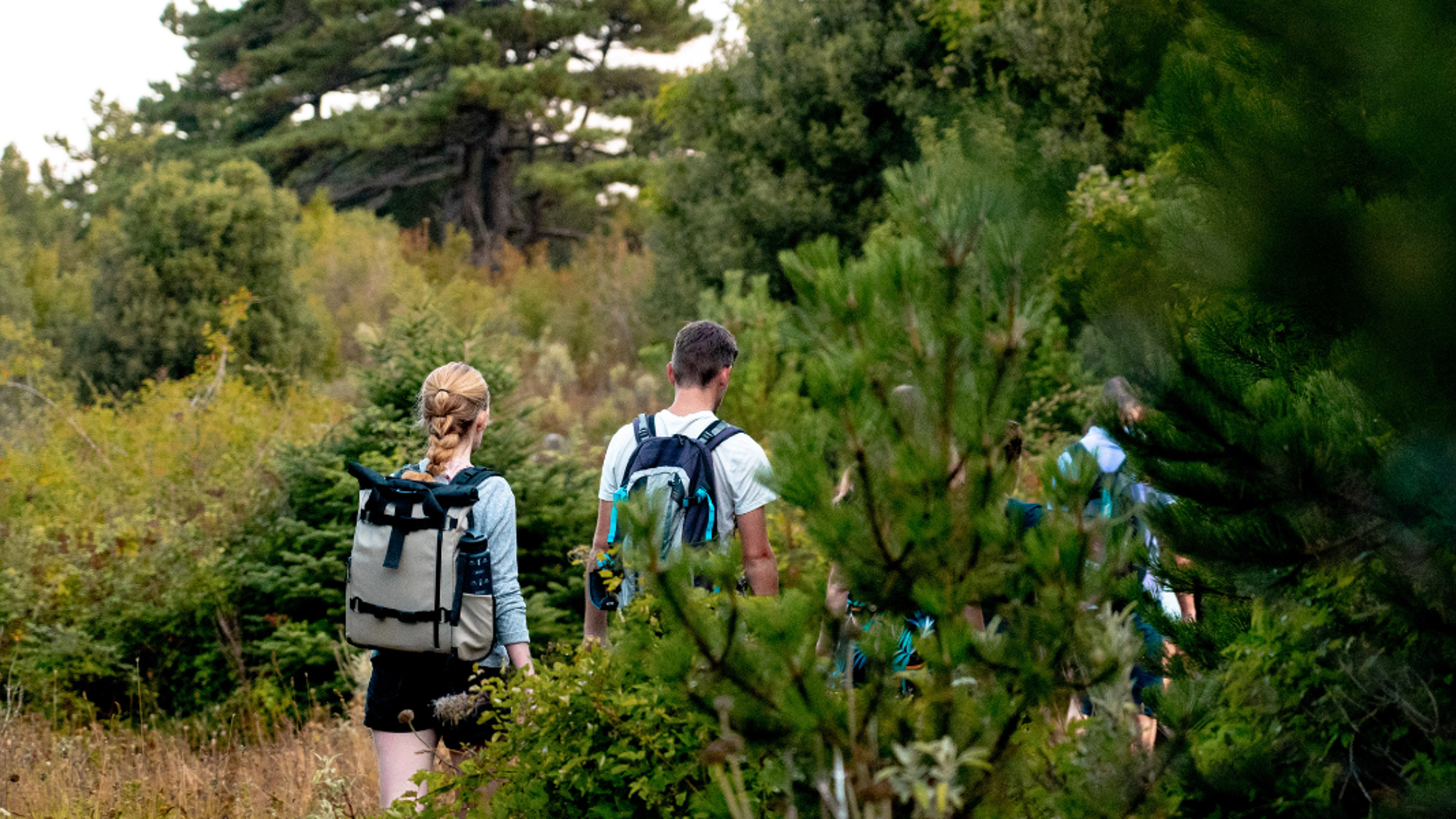 Randonnée dans le parc national de Llogara