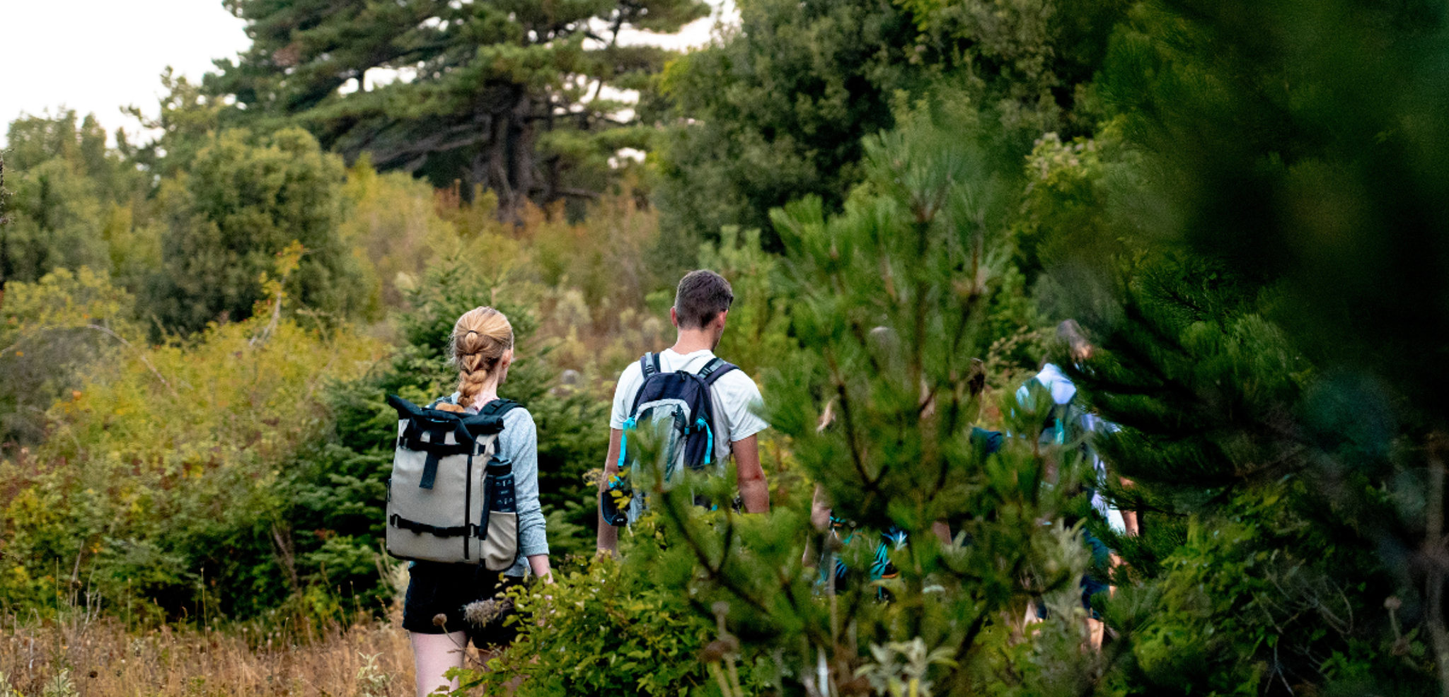 Randonnée dans le parc national de Llogara