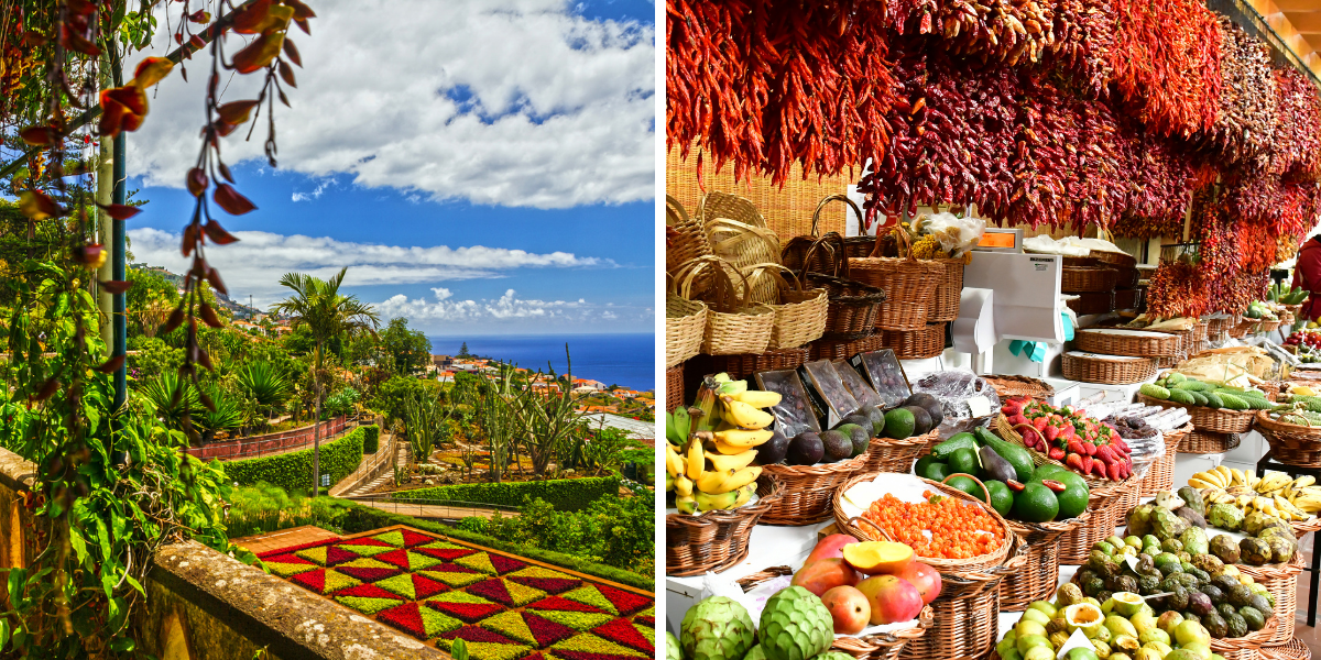 Jardin Monte Palace et le marché