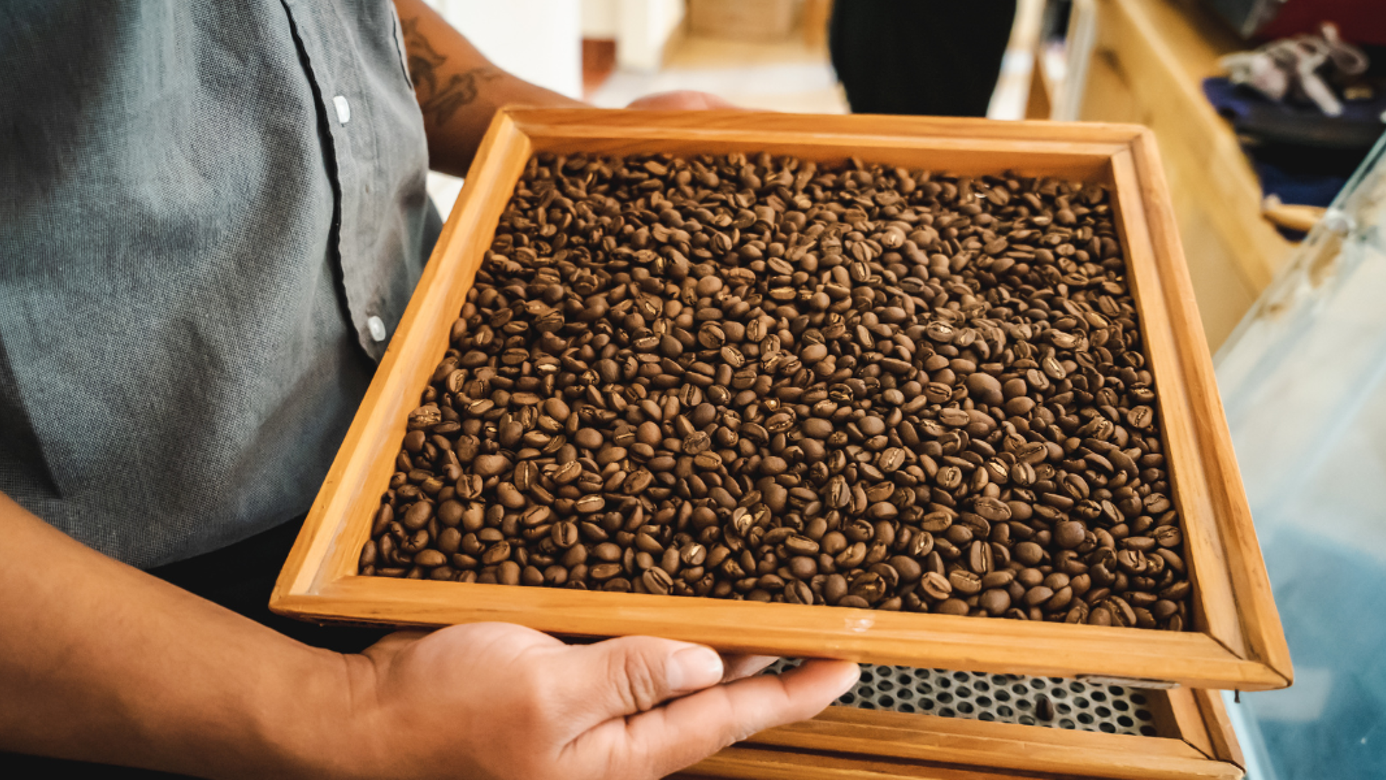 Atelier café, Chiapas, Mexique