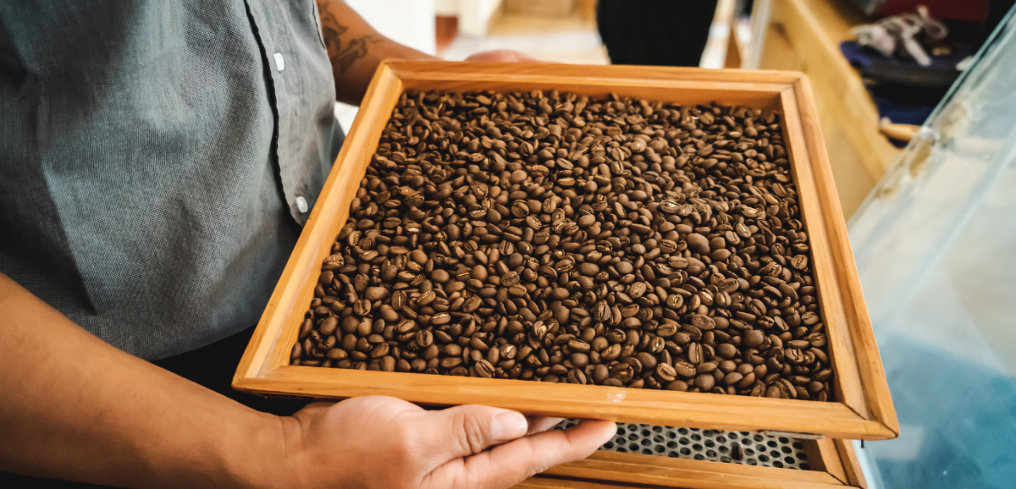 Atelier café, Chiapas, Mexique