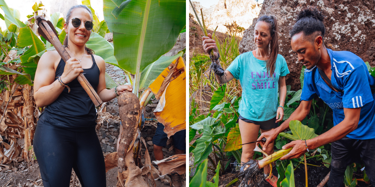 Découvrez le quotidien des habitants de la région 