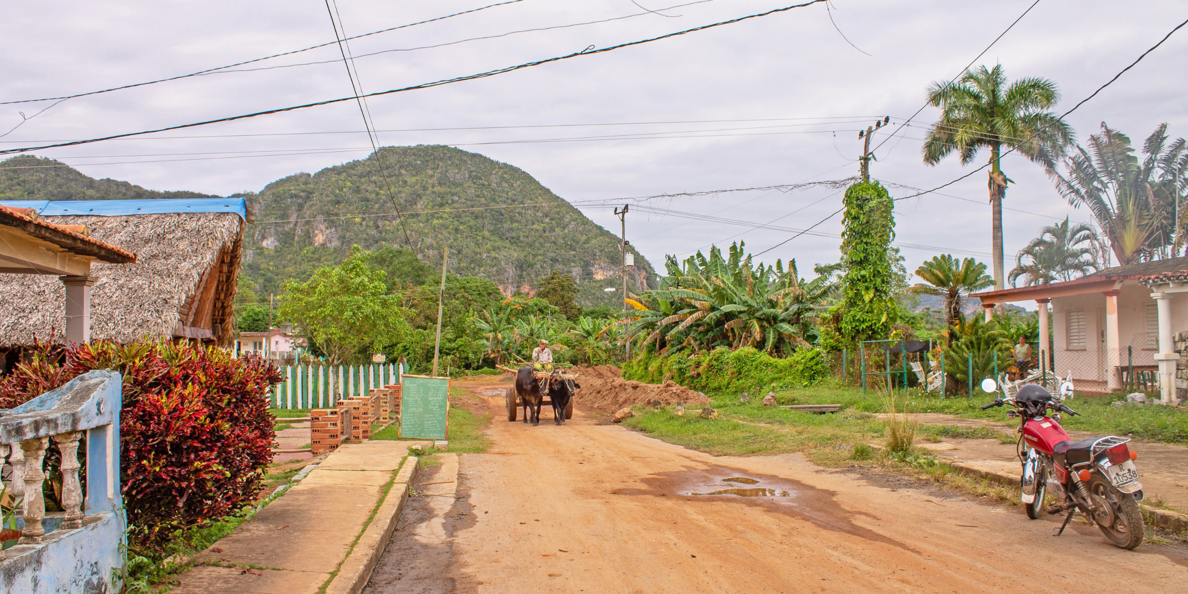 Vallée de Viñales, Cuba 