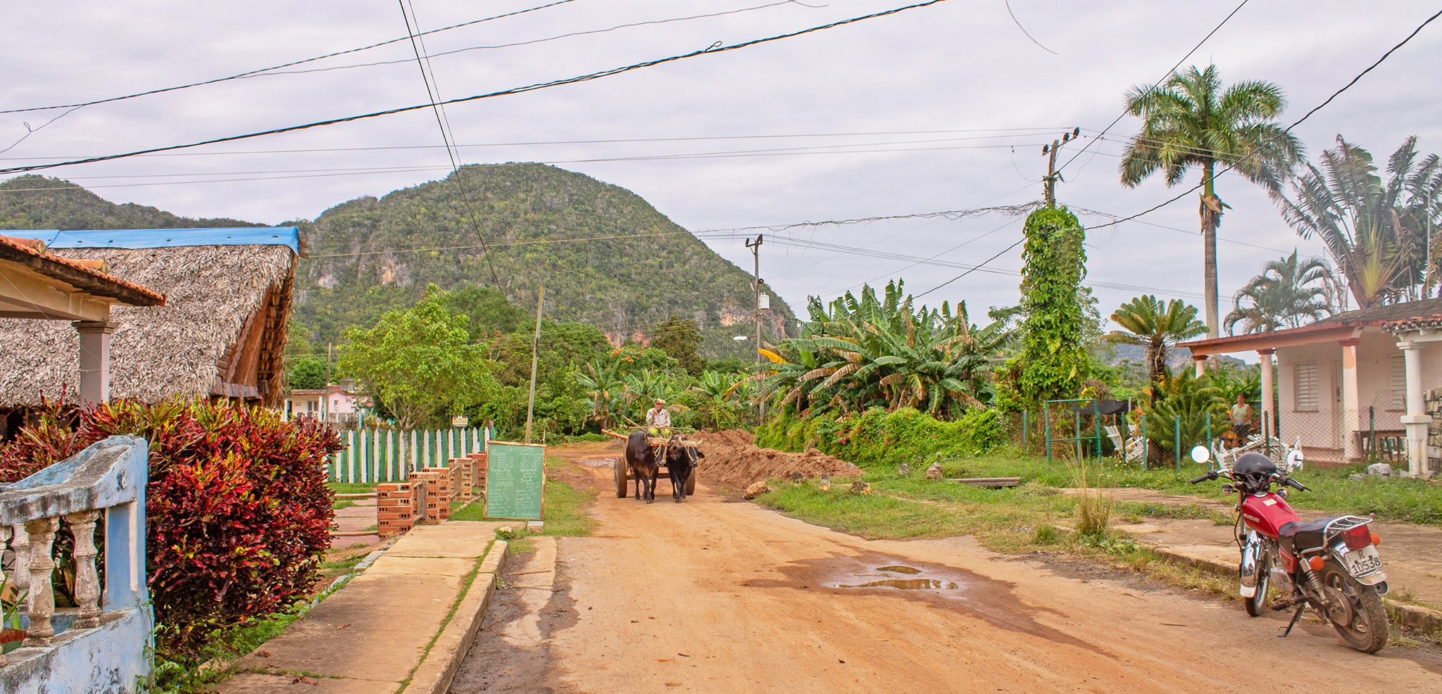 Vallée de Viñales, Cuba