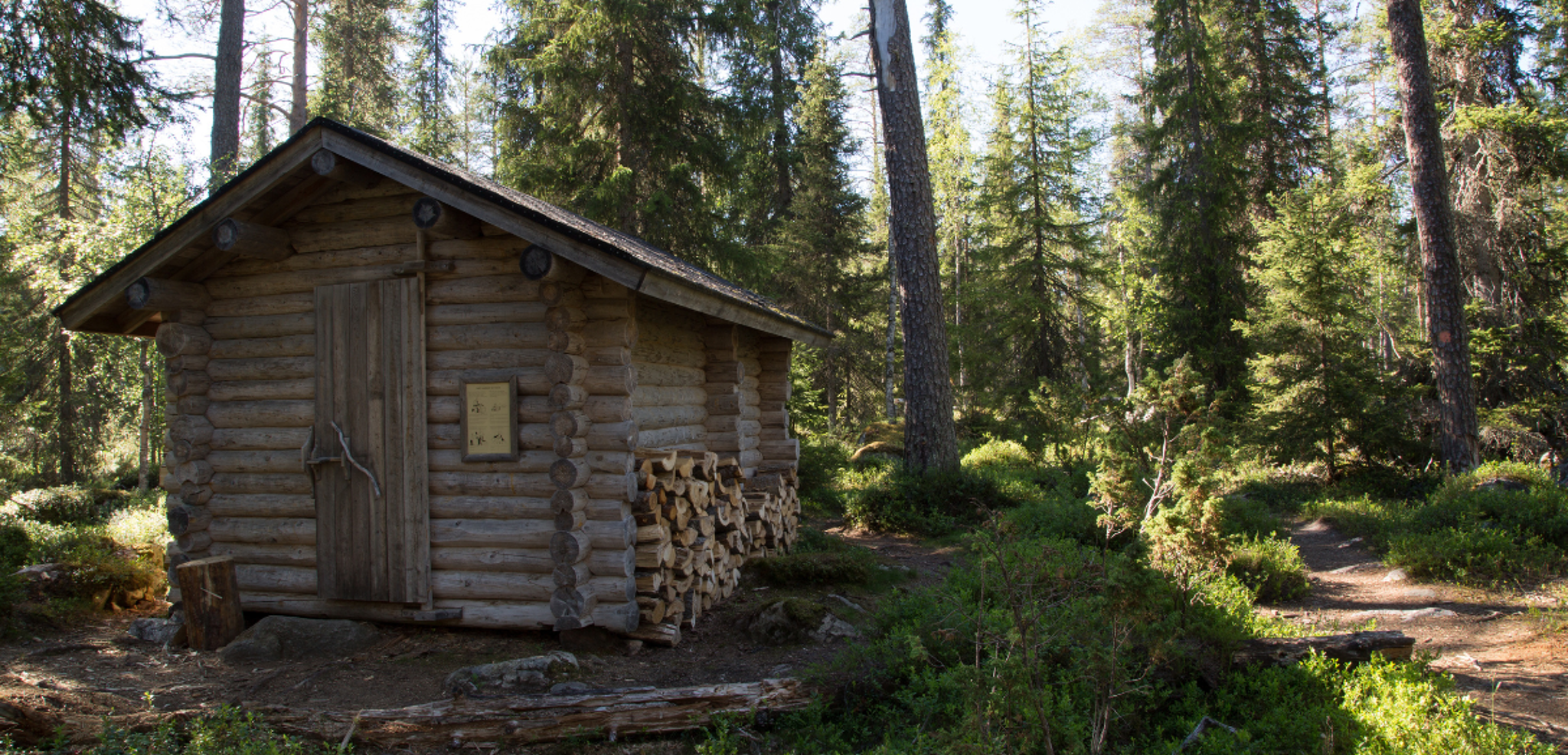 Petite hutte au fond de la forêt