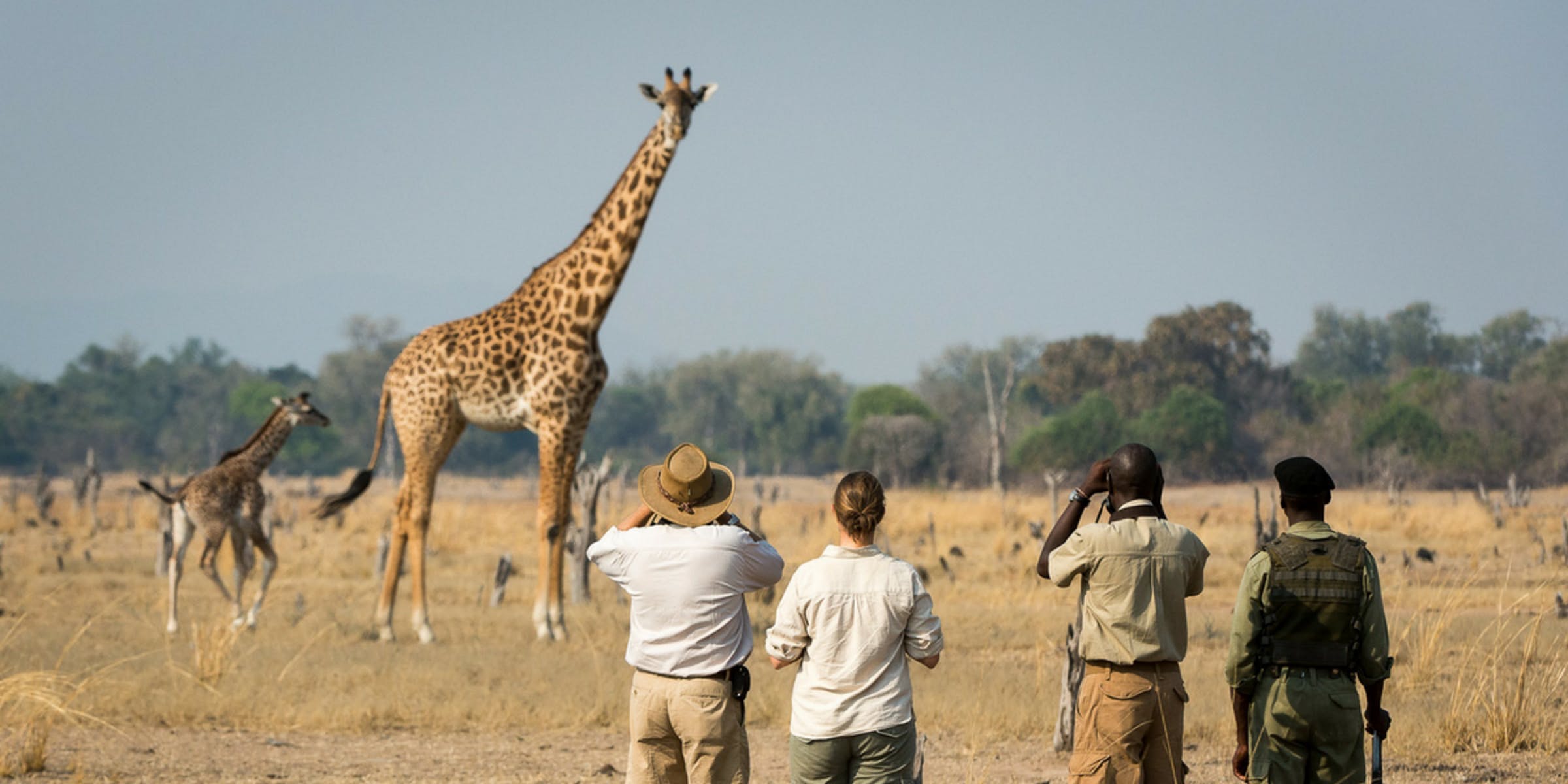 Embarquez pour un safari dans le parc de Tarangire 