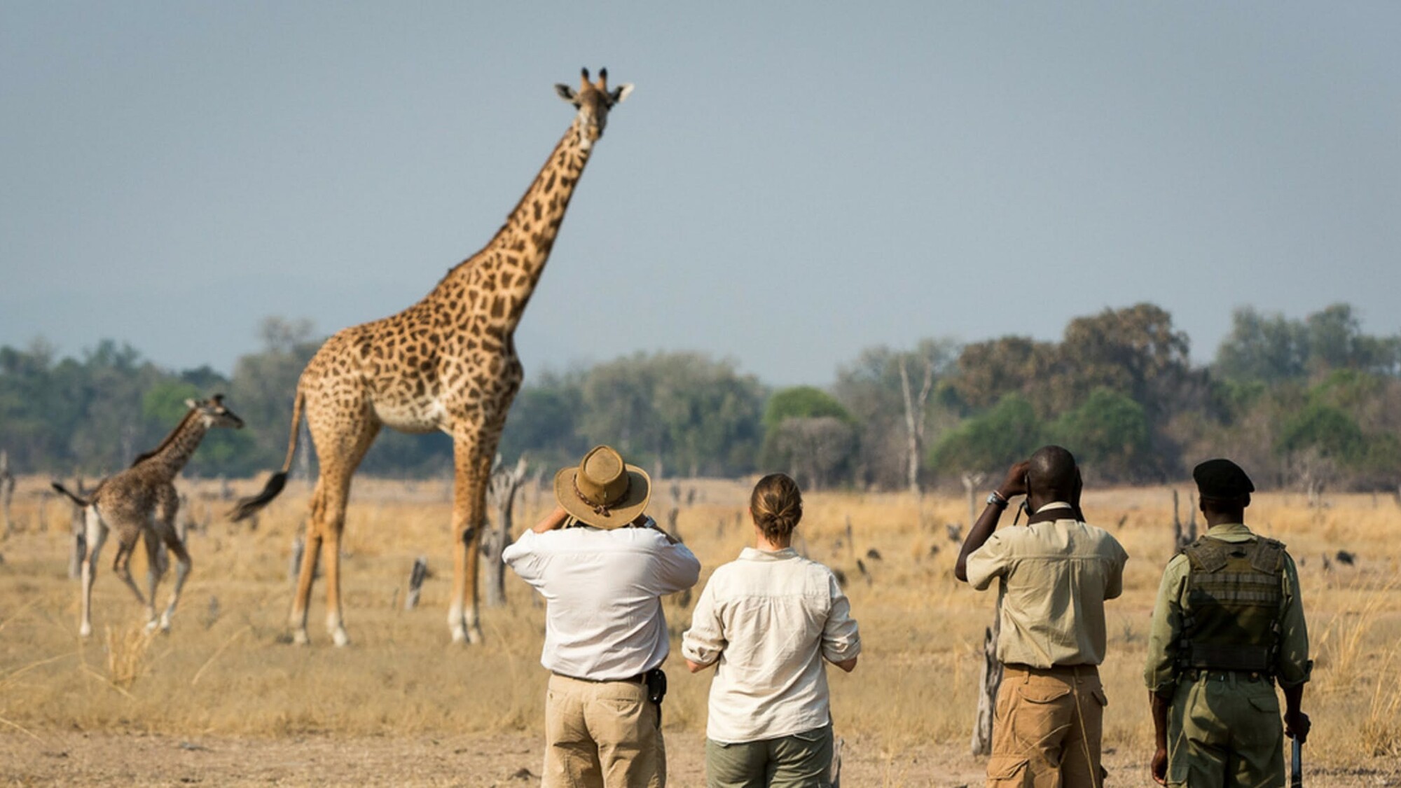 Embarquez pour un safari dans le parc de Tarangire