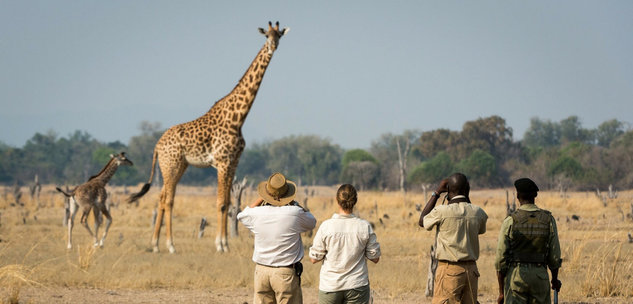 Embarquez pour un safari dans le parc de Tarangire